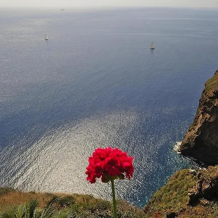 ヴィラ Very Confortable In Canico, Madeira *